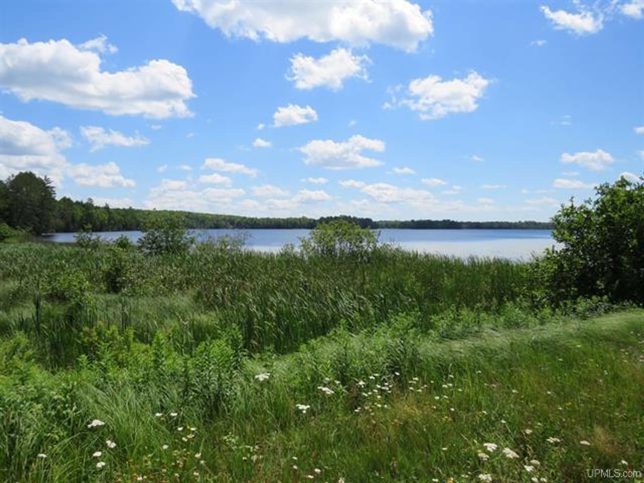 Listing Image 61