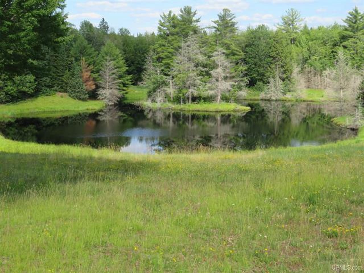 Listing Image 46