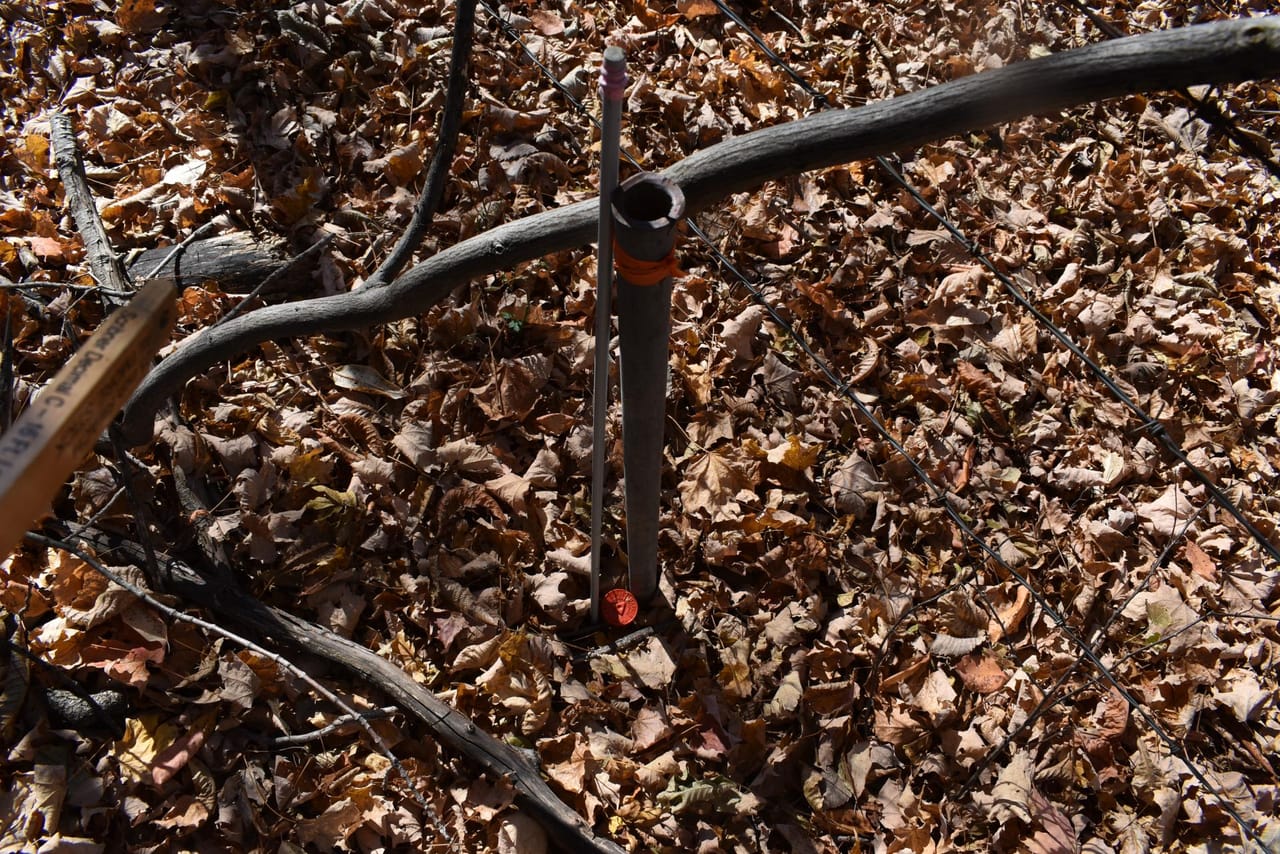 Woodhull Whitetails