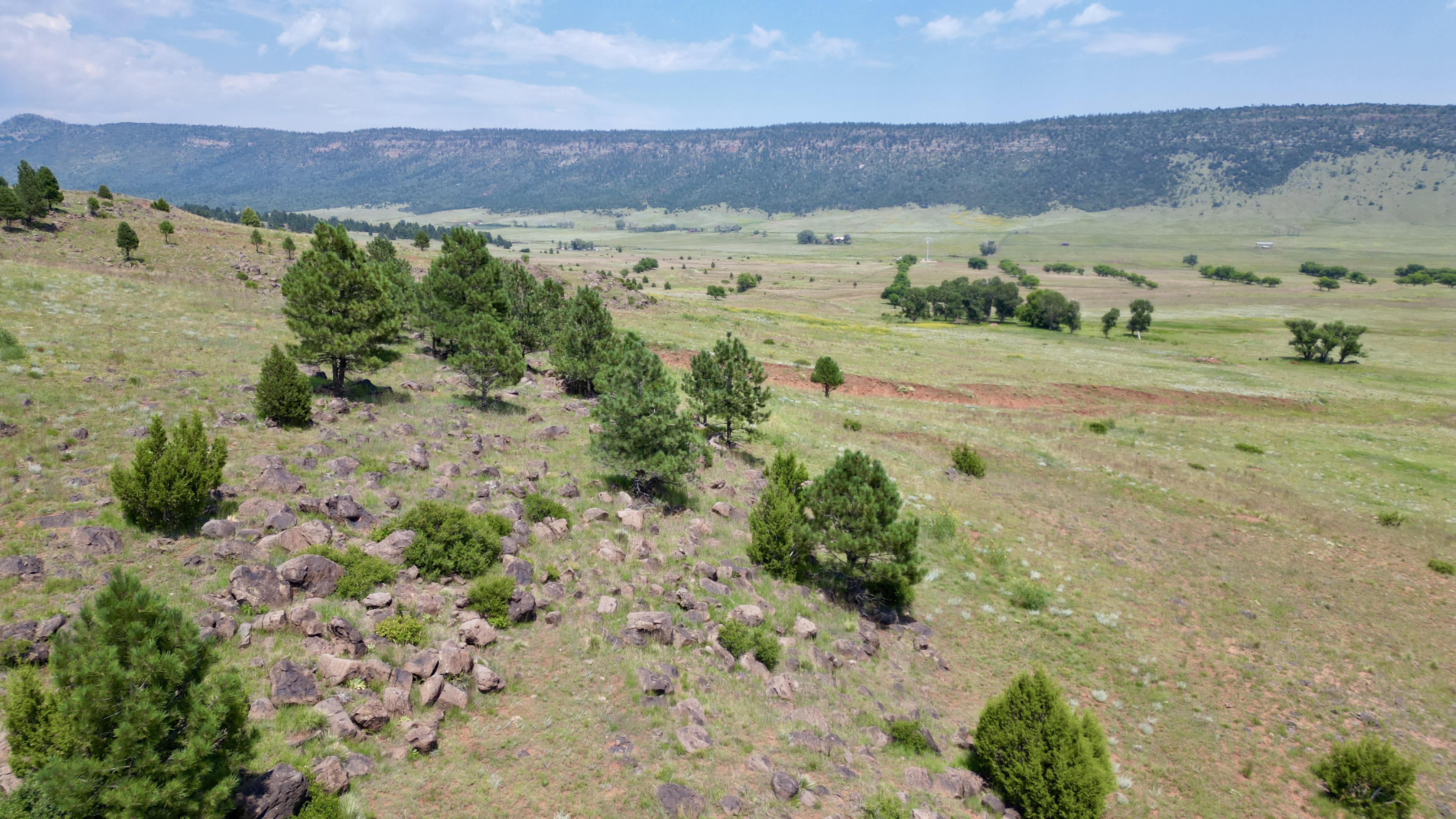 OLC Ranch