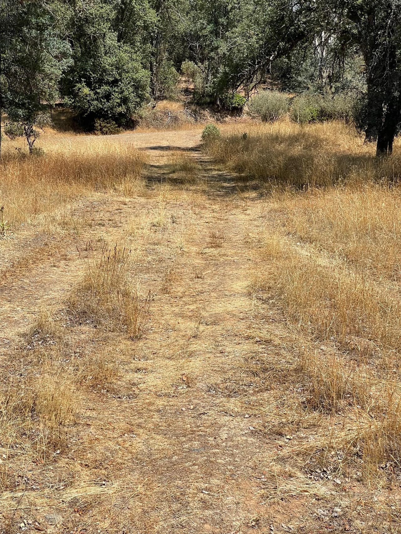 Listing Image 74