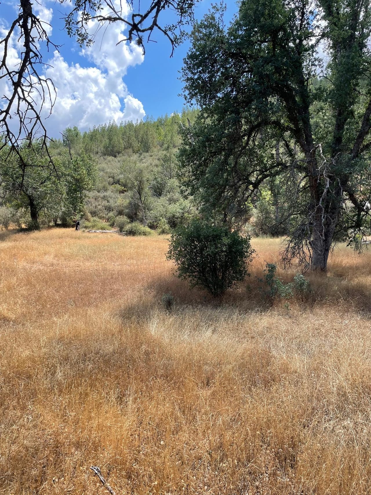 Listing Image 75
