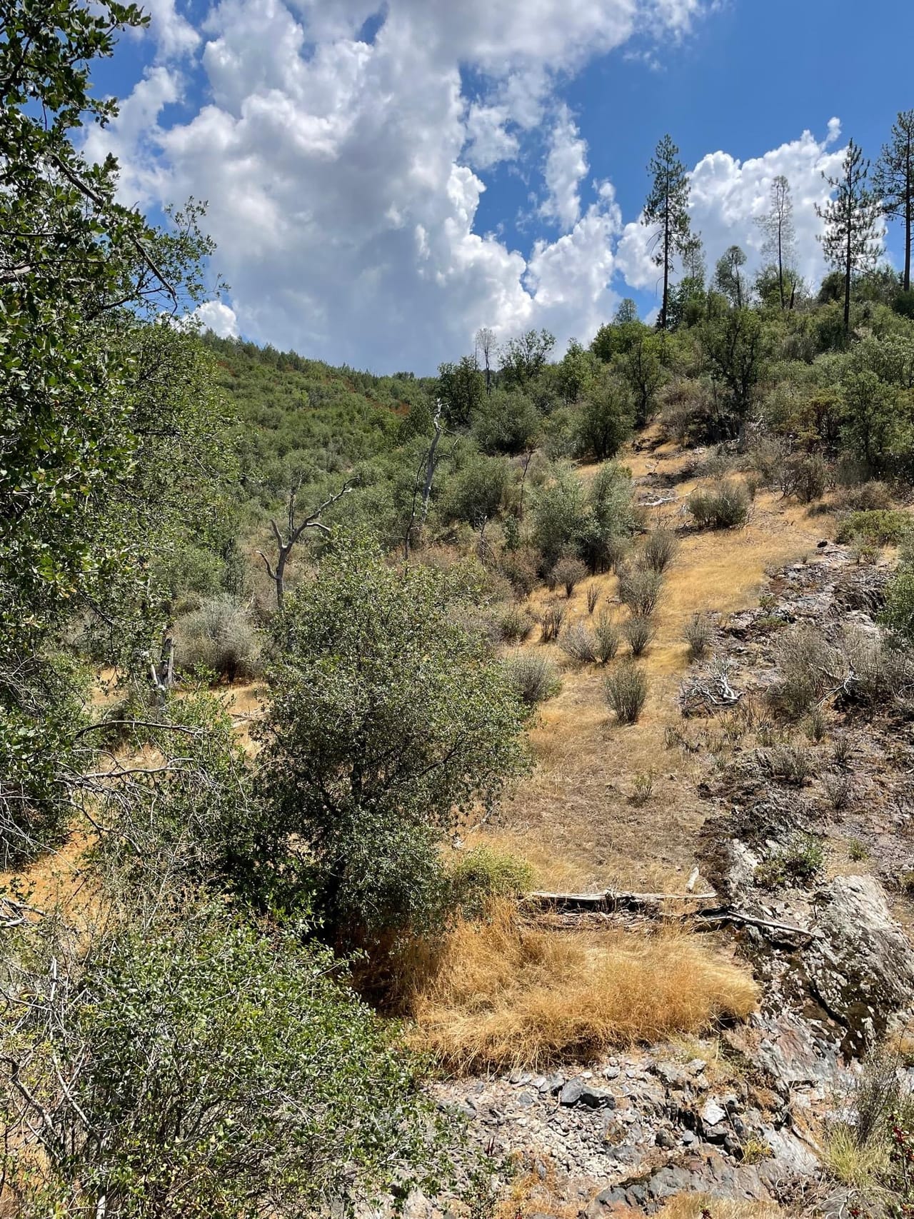 Bull Creek Hideaway