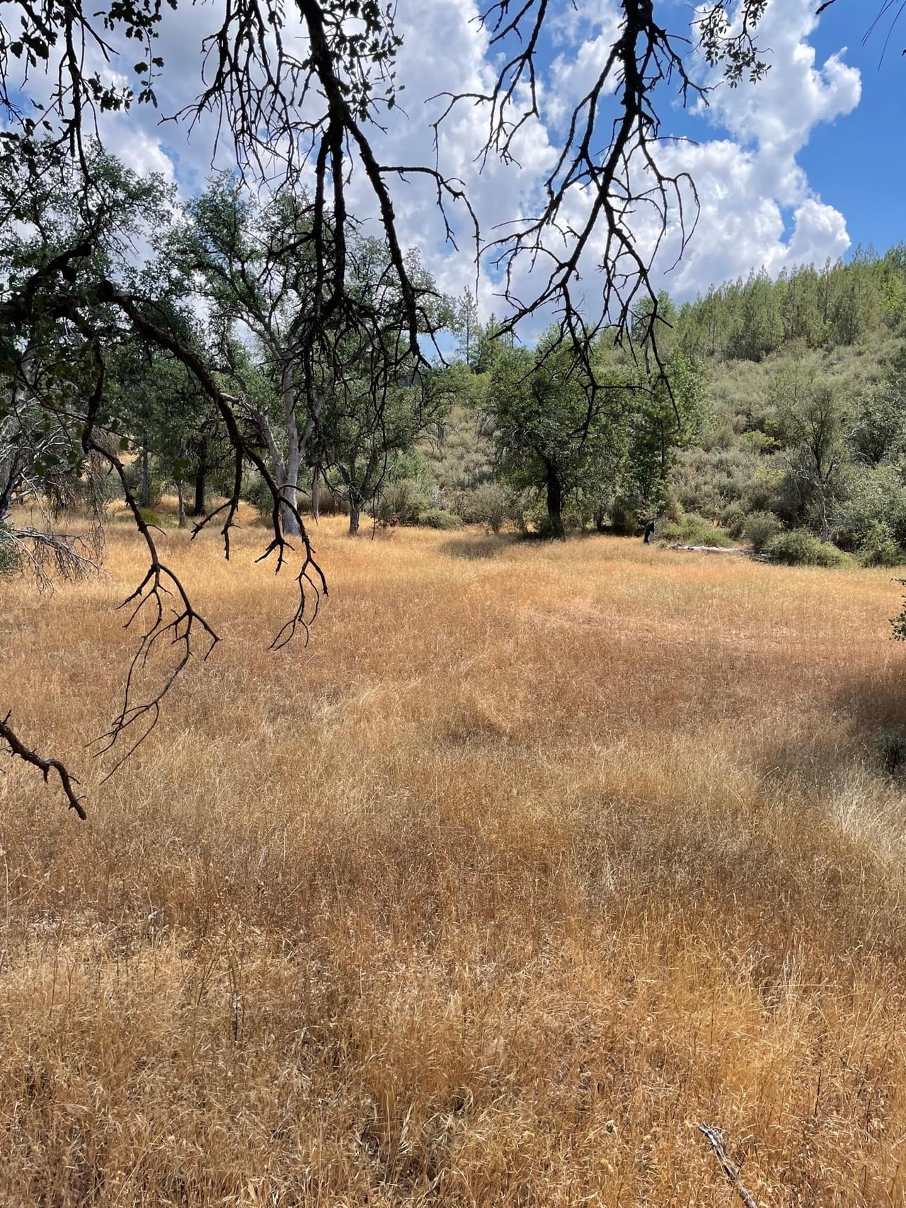 Bull Creek Hideaway
