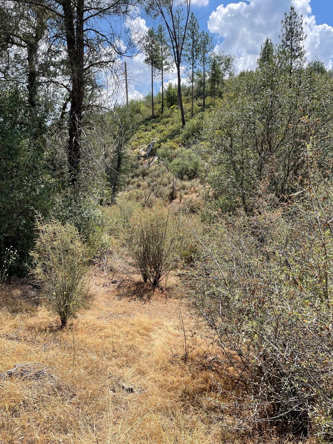 Bull Creek Hideaway