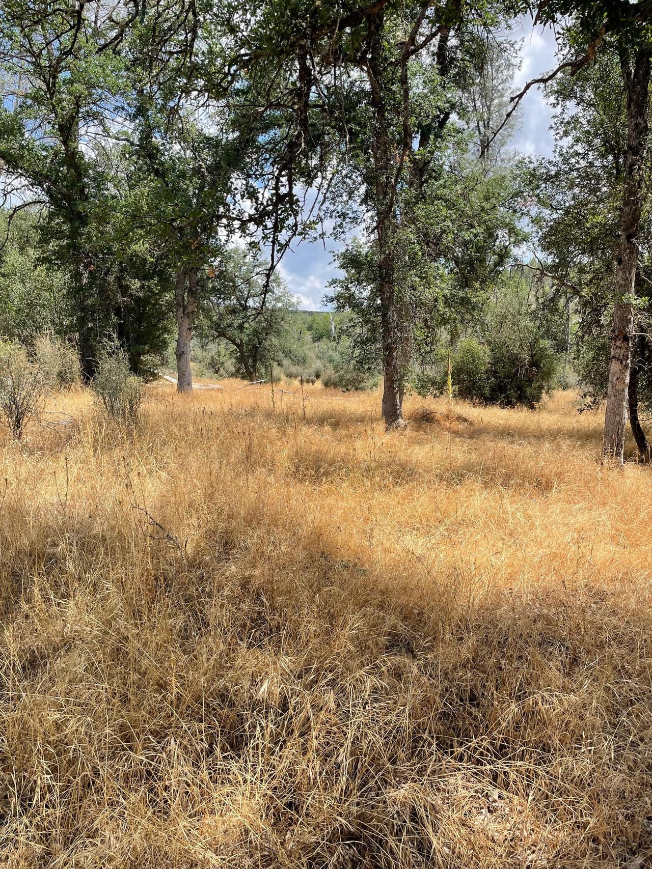 Bull Creek Hideaway