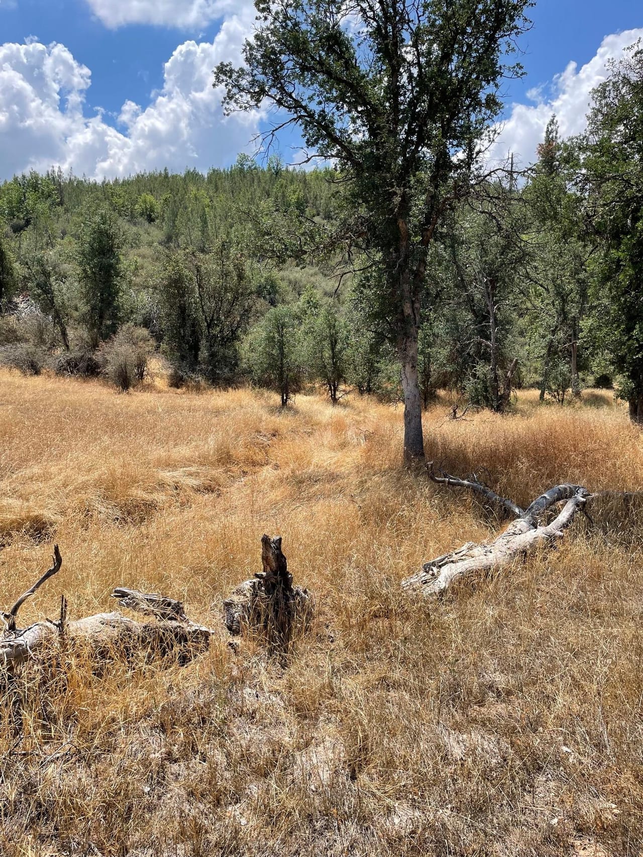 Bull Creek Hideaway