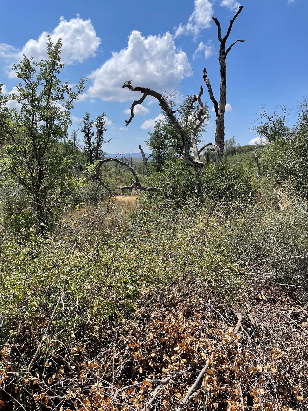 Bull Creek Hideaway