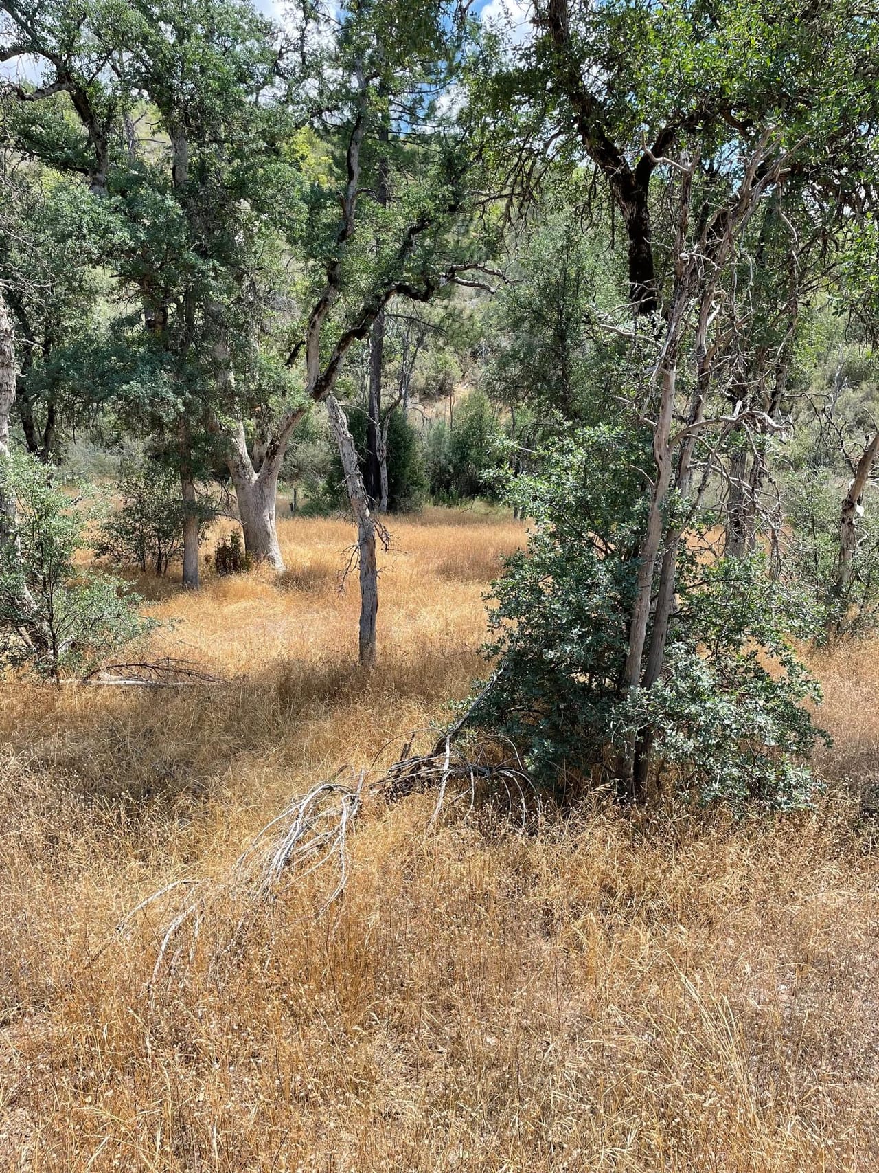 Bull Creek Hideaway