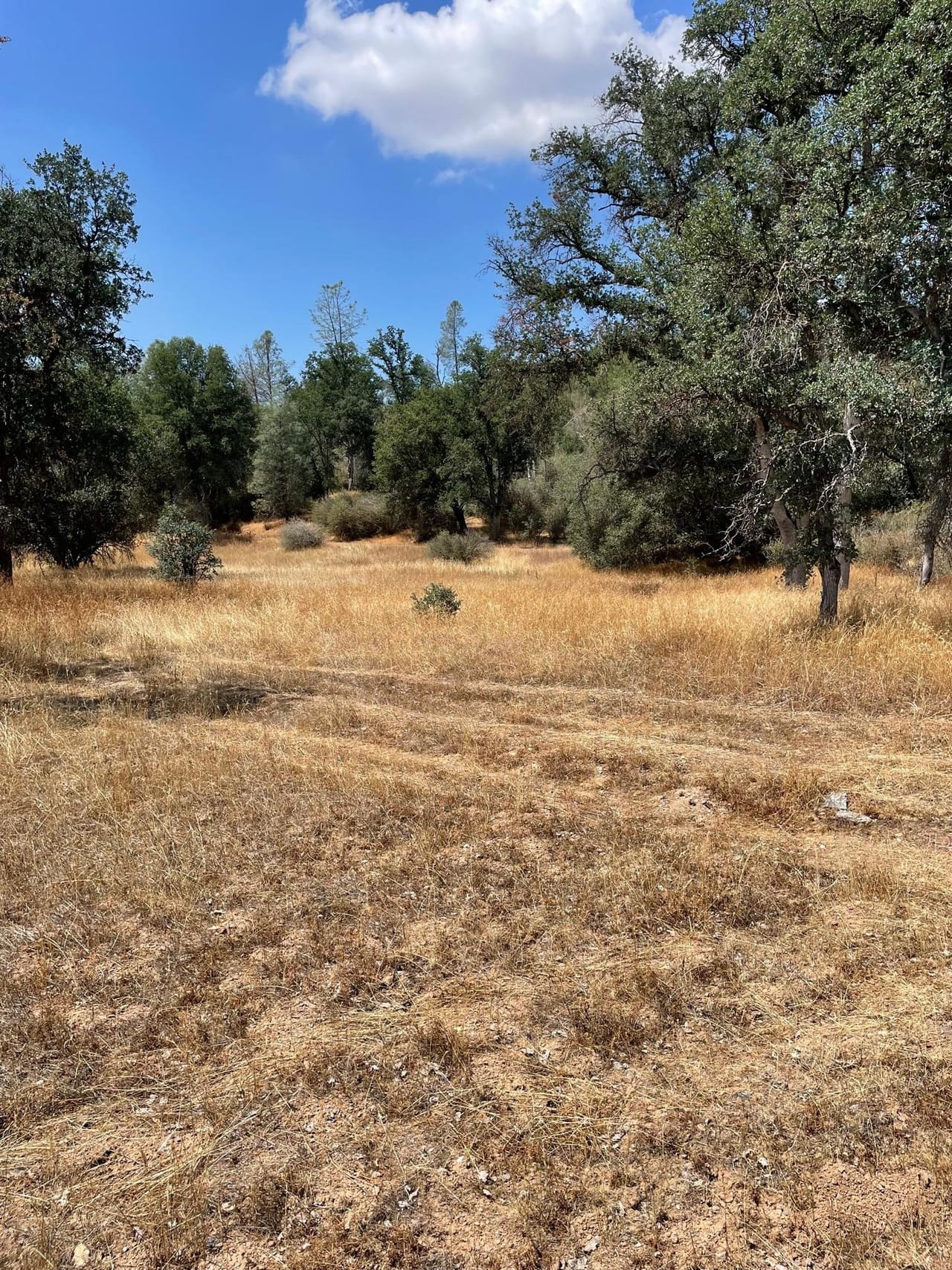 Listing Image 45