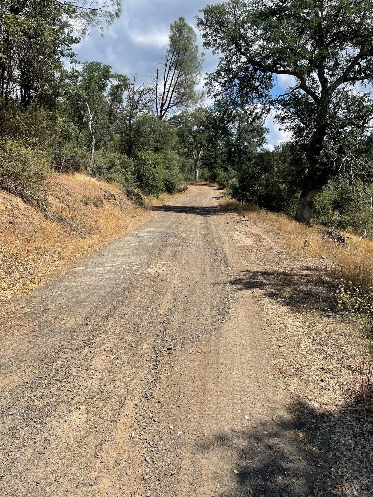 Listing Image 51