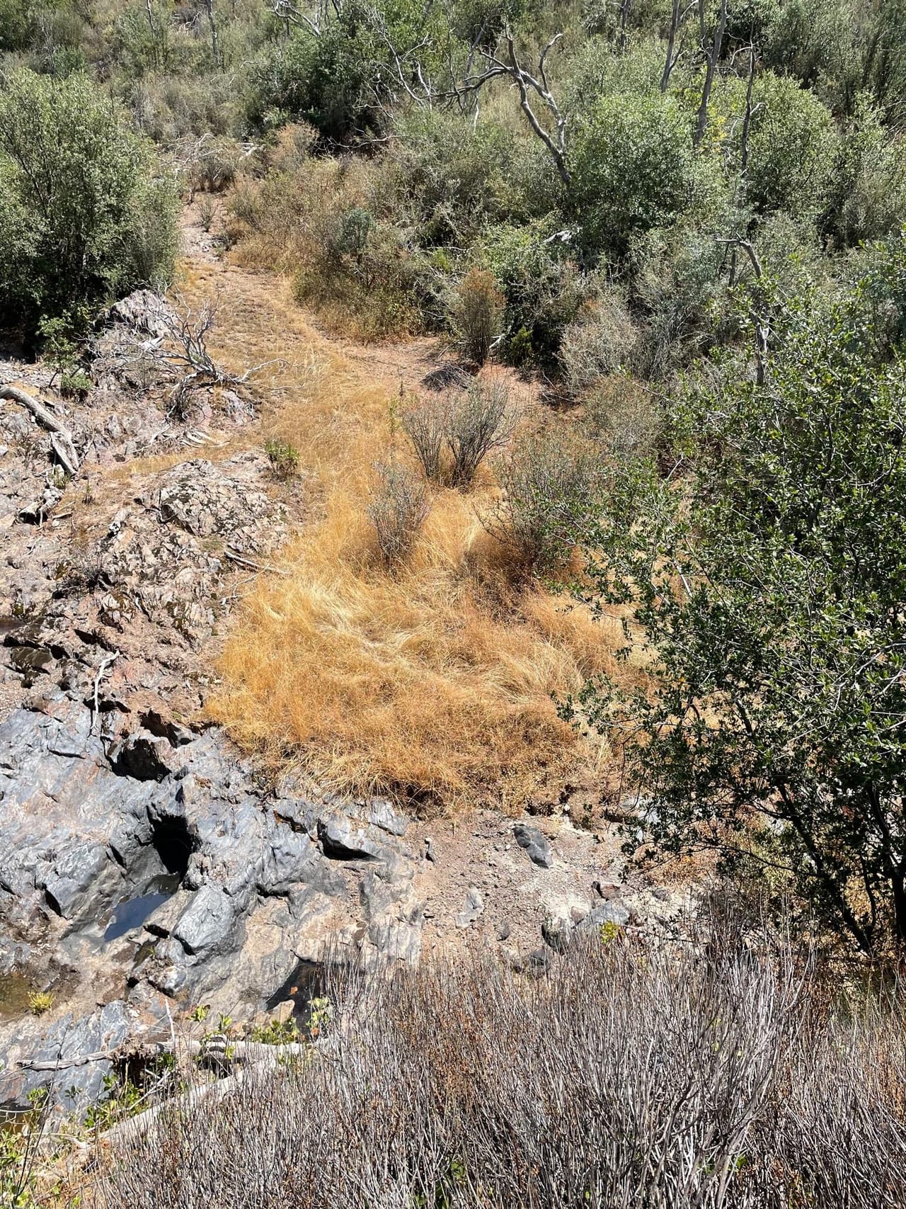 Listing Image 64