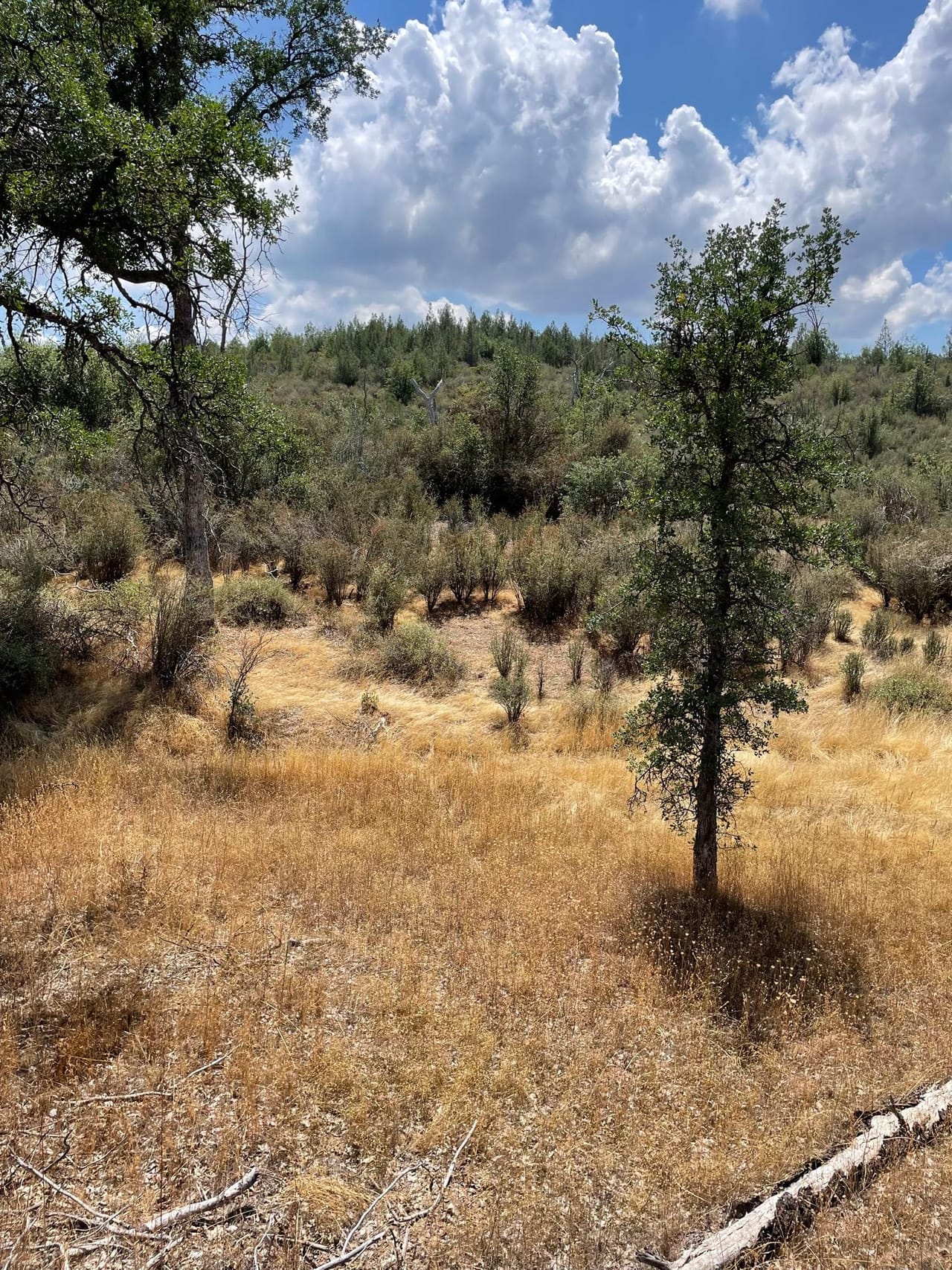 Listing Image 70