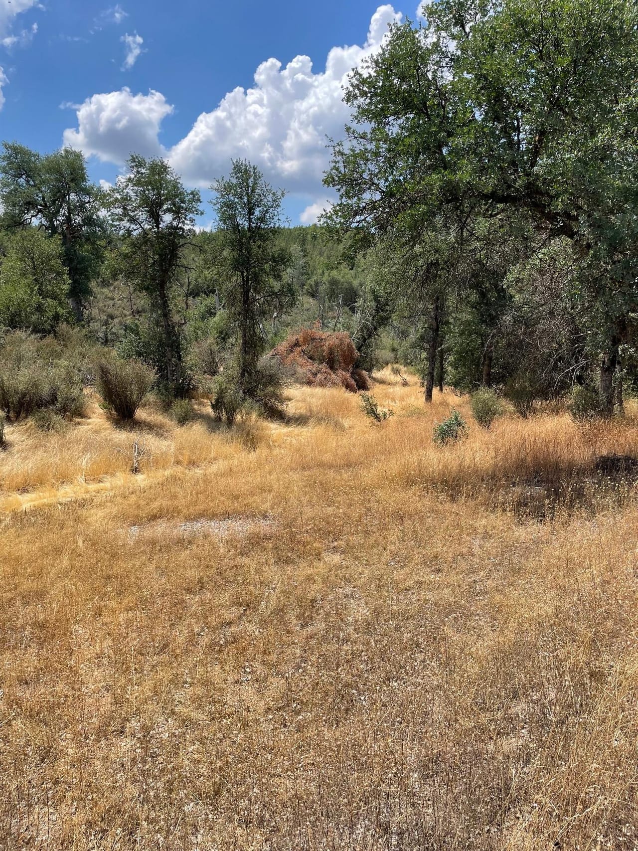 Bull Creek Hideaway
