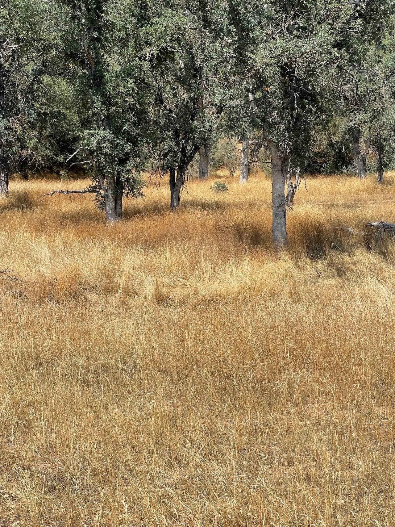Bull Creek Hideaway