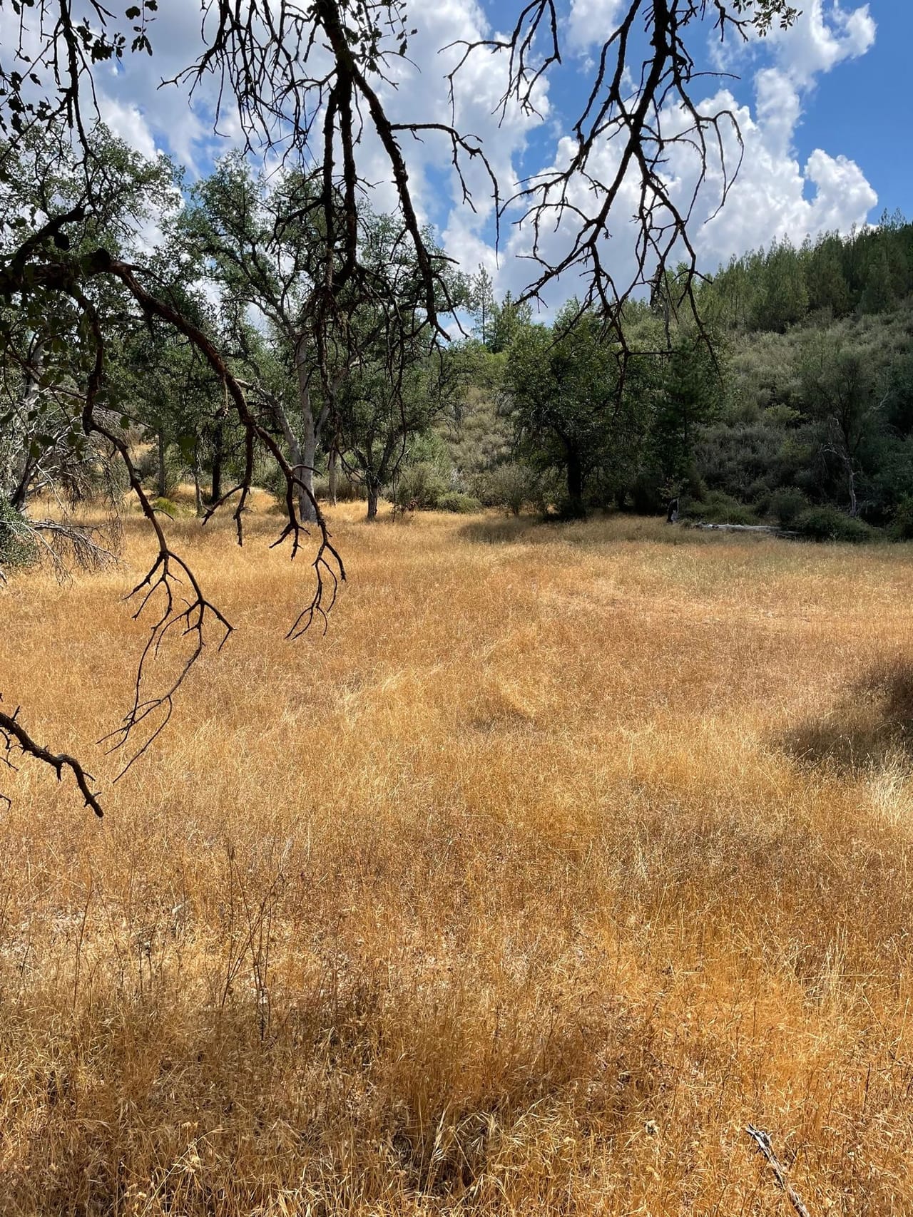Bull Creek Hideaway