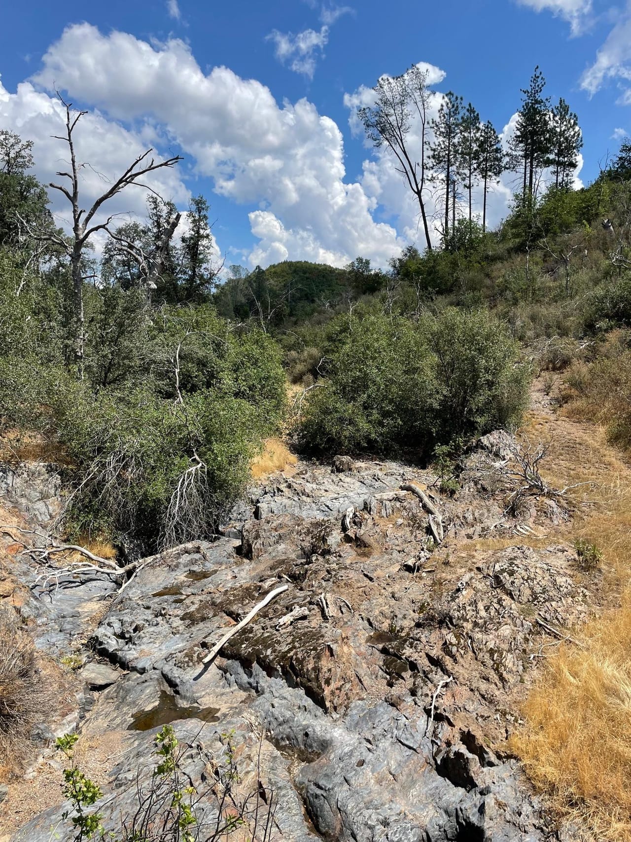 Listing Image 26