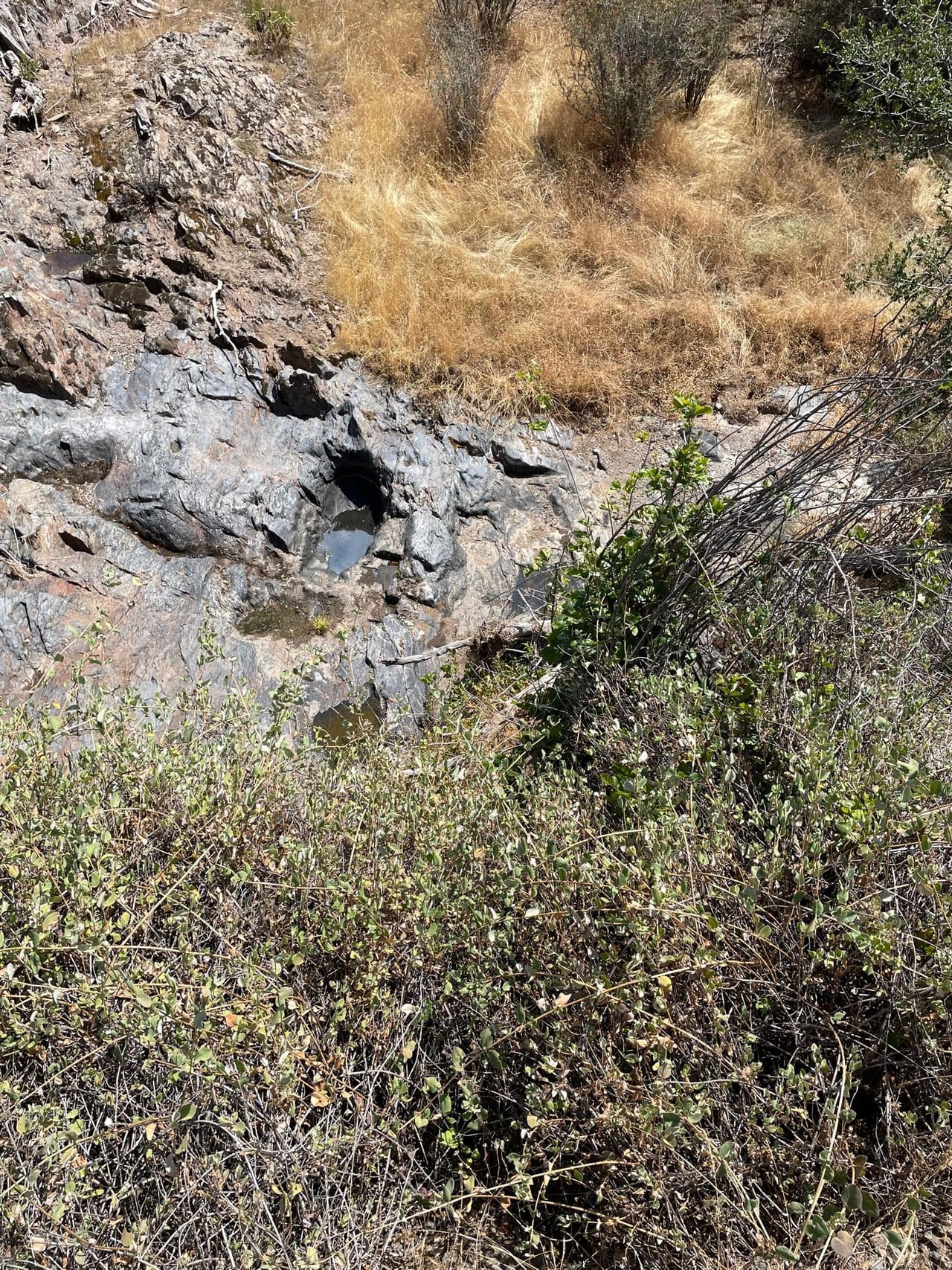 Listing Image 28
