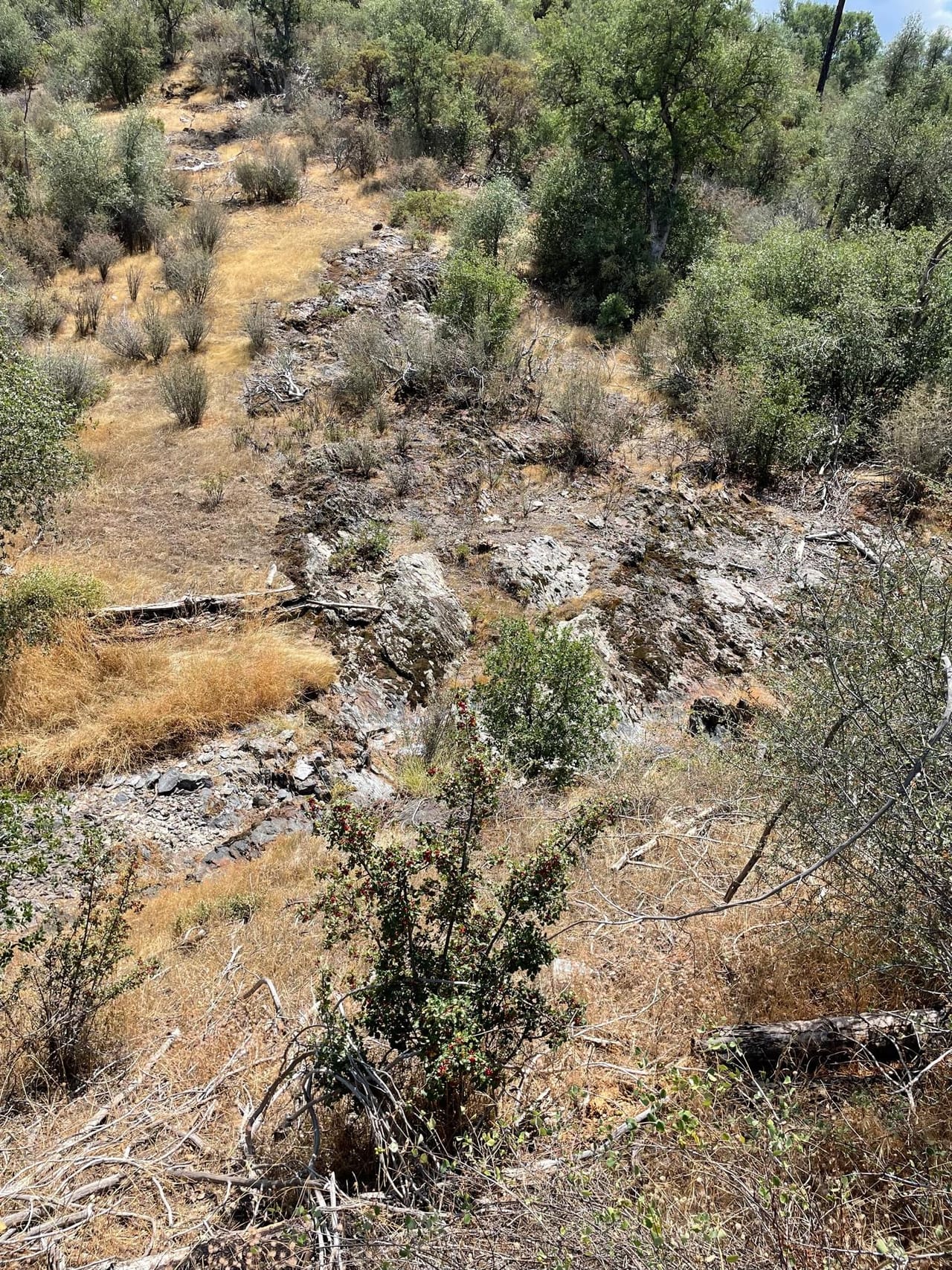 Listing Image 29
