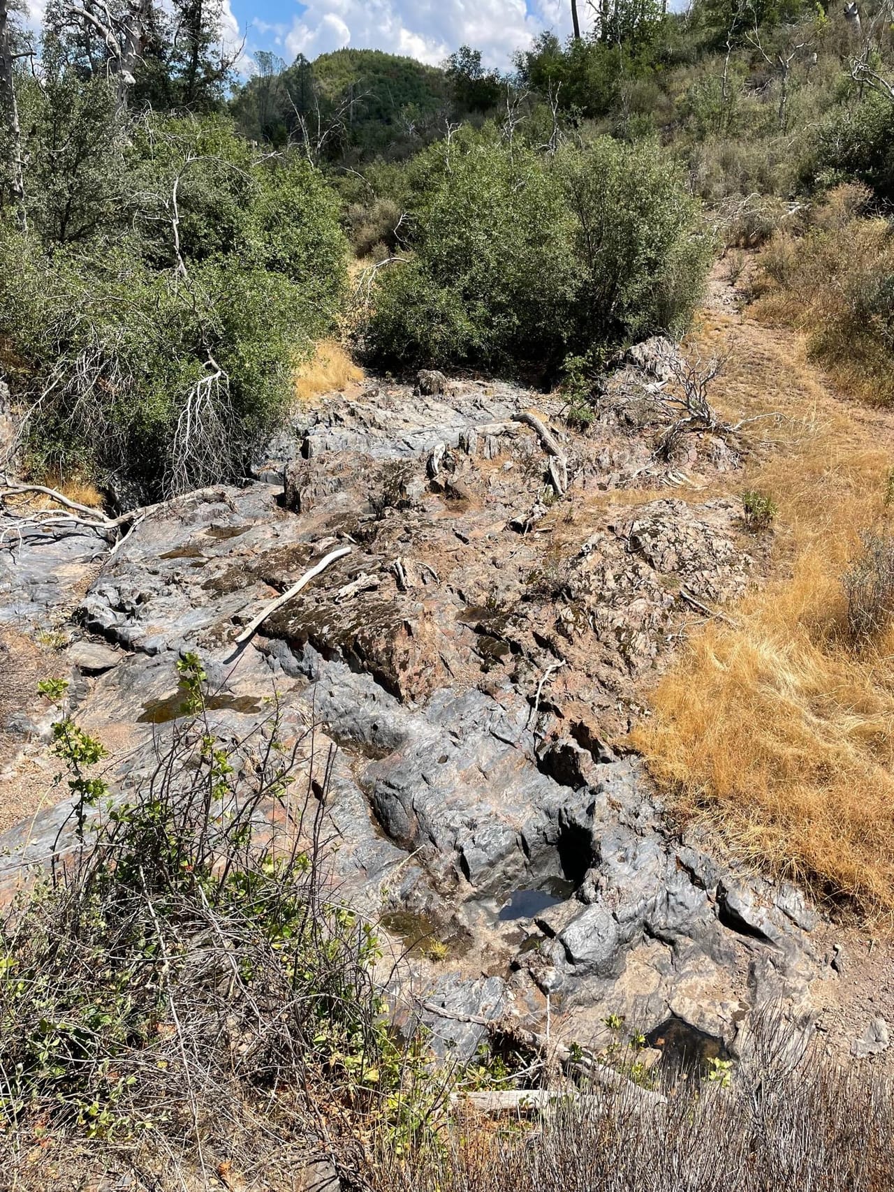 Listing Image 36