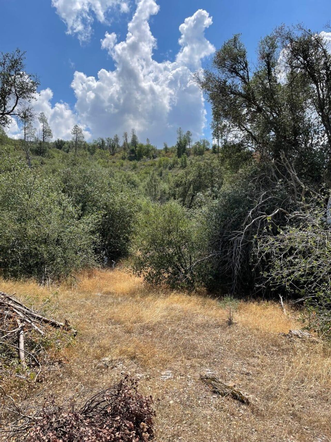 Listing Image 50