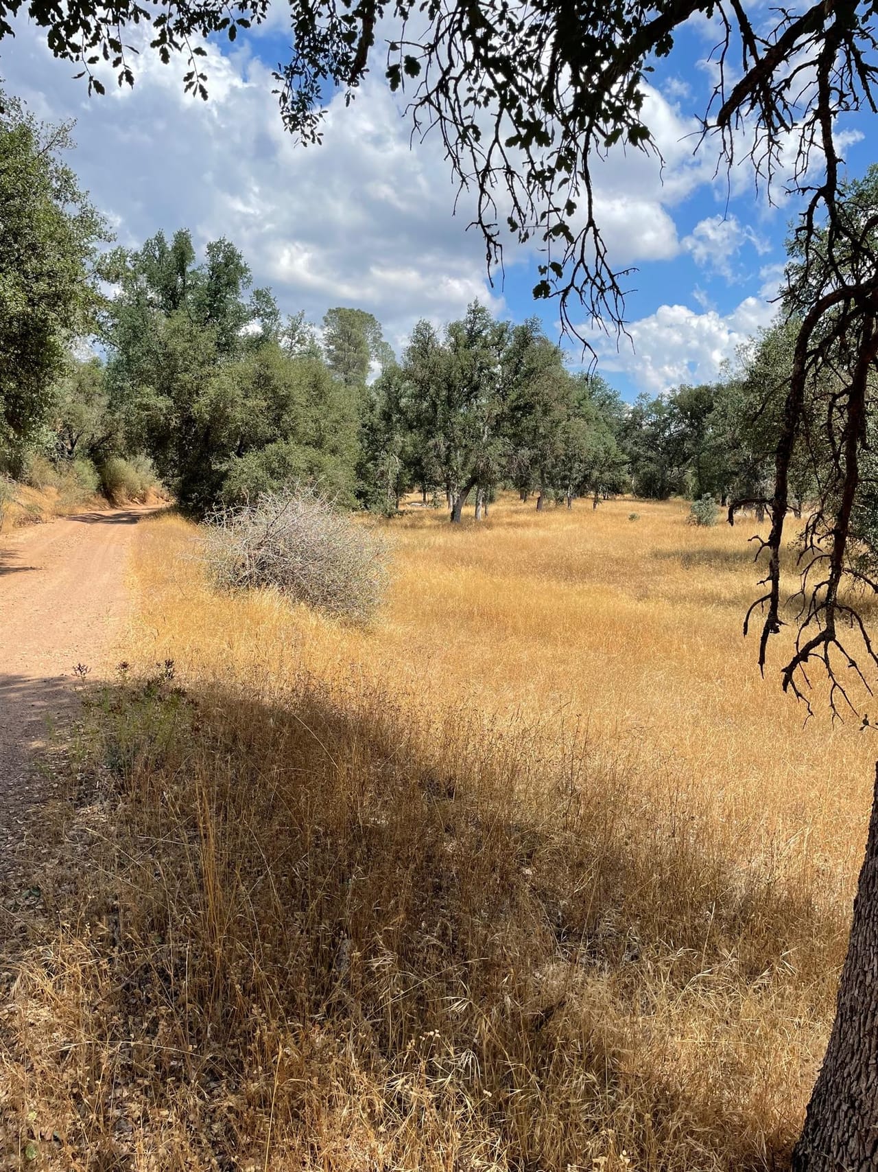 Listing Image 54