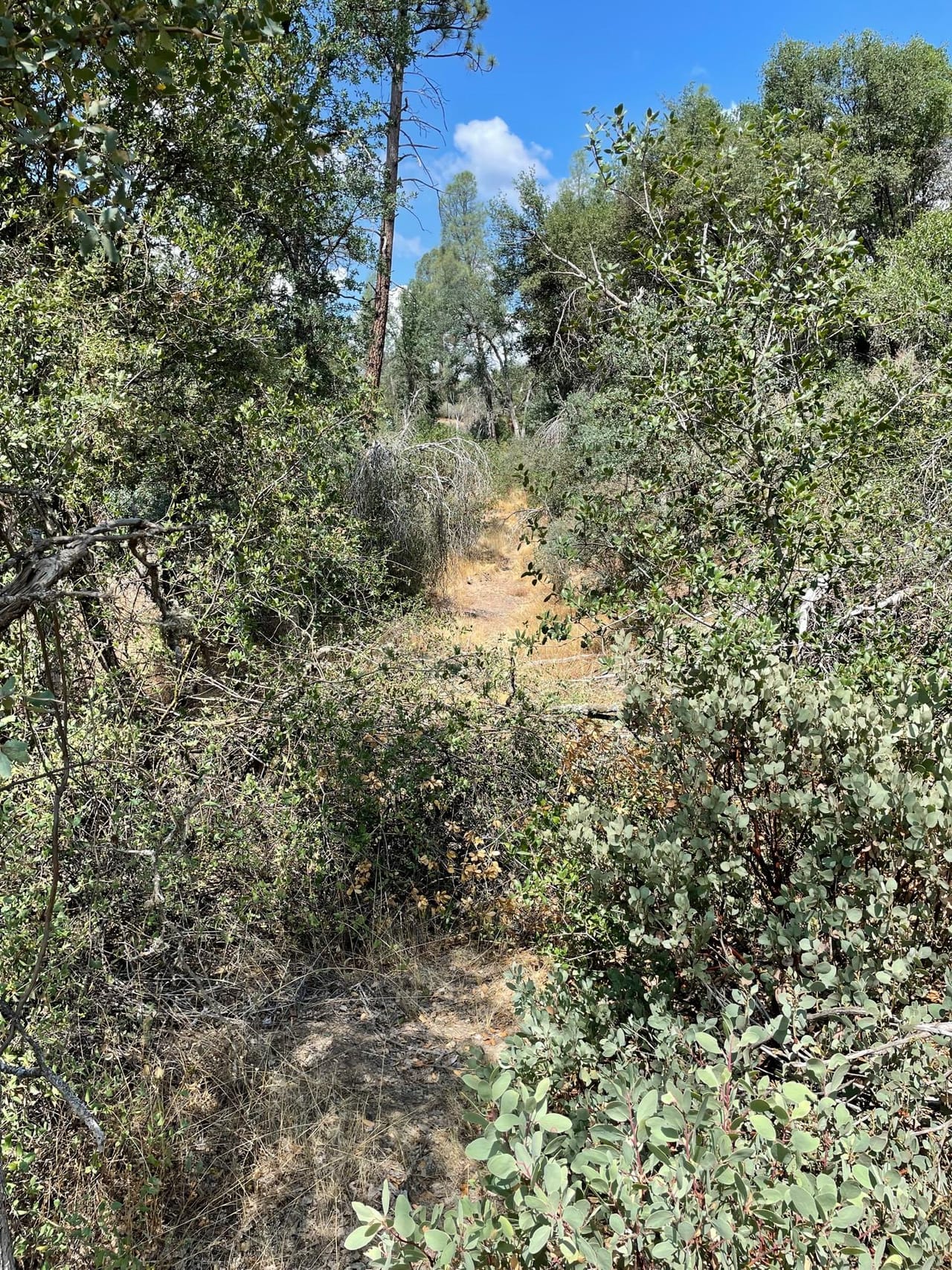 Listing Image 57