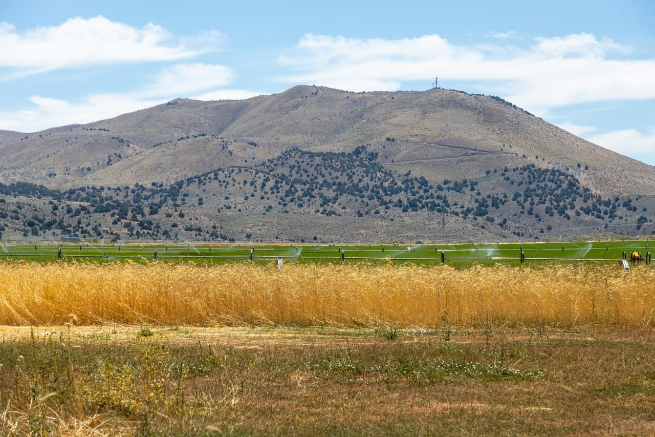 Listing Image 18