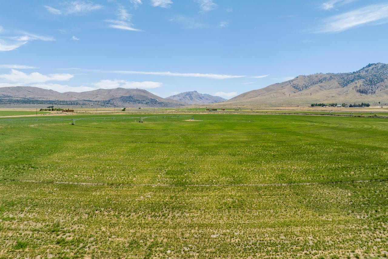 Listing Image 33