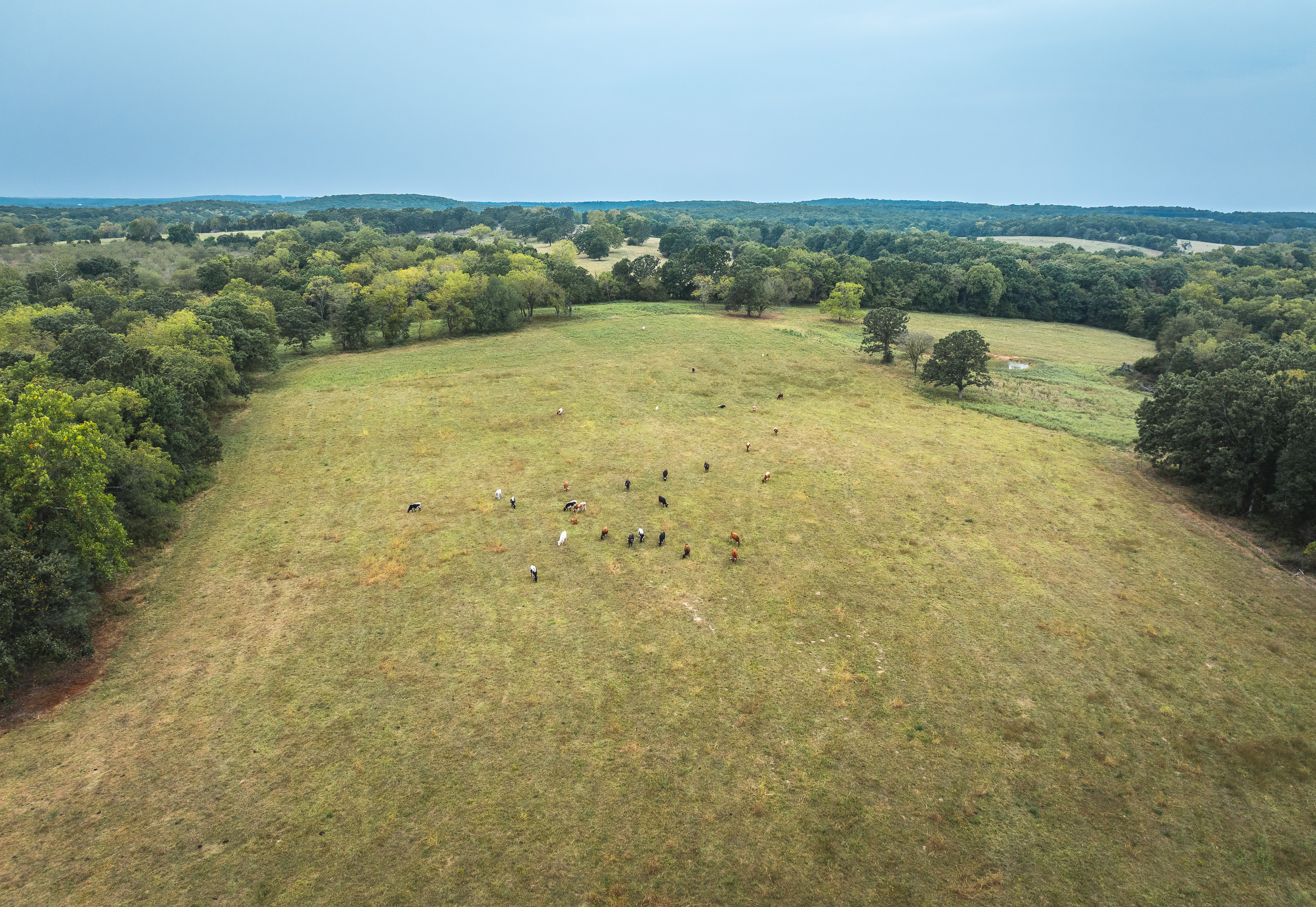 Twin Creek Farm