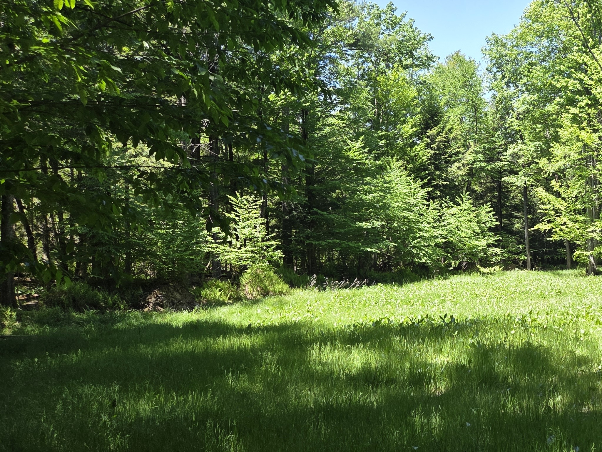 Listing Image 26