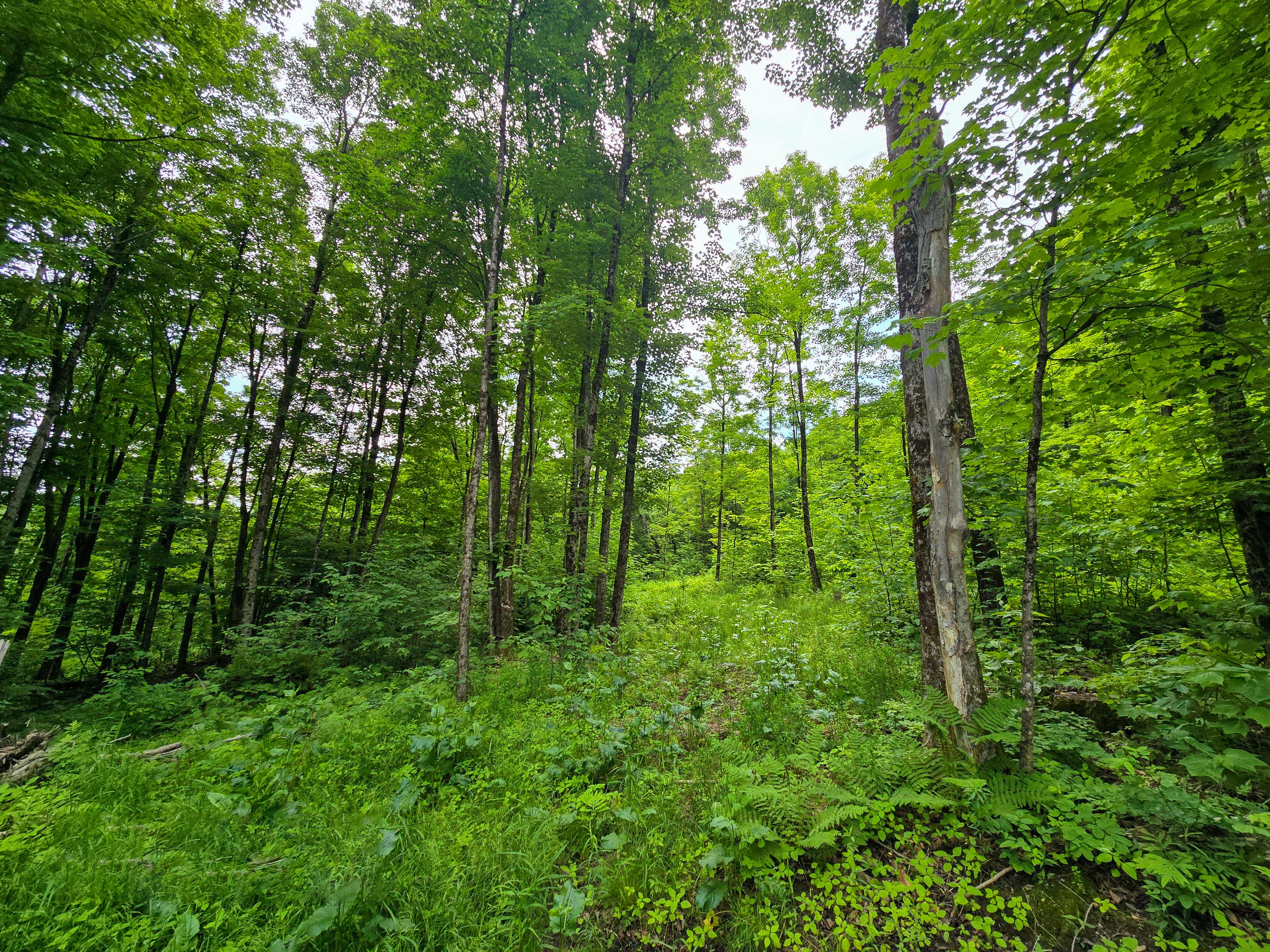 Listing Image 17