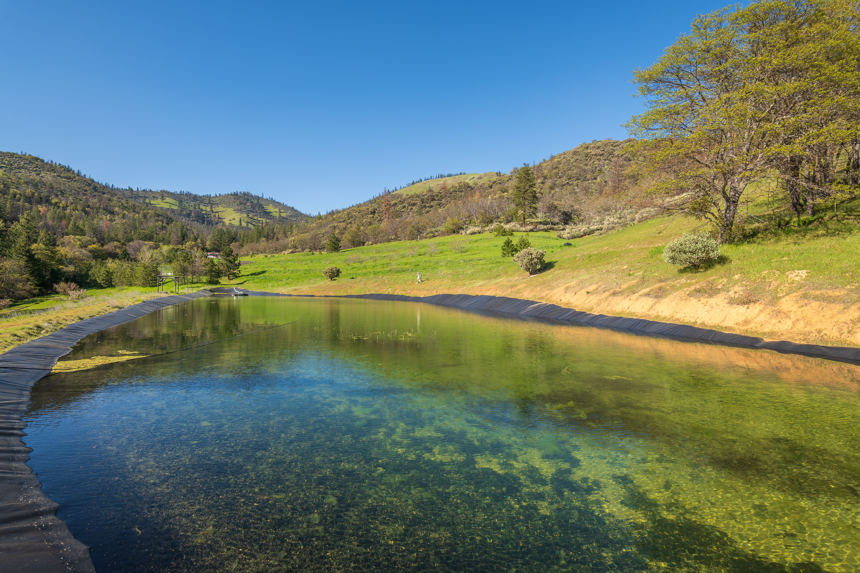 Wolf Gulch Farm - 7000 Little Applegate Road