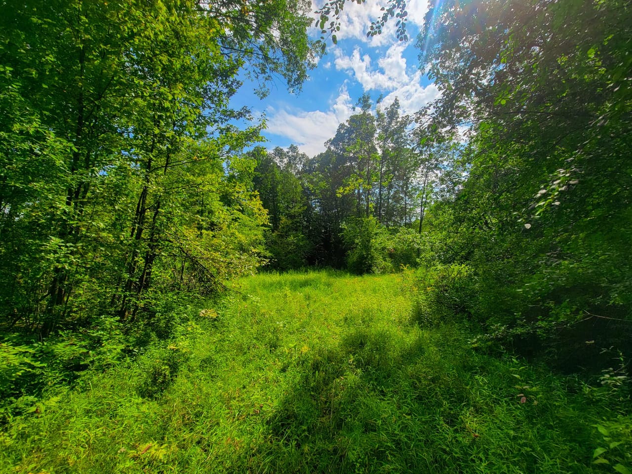 Listing Image 76