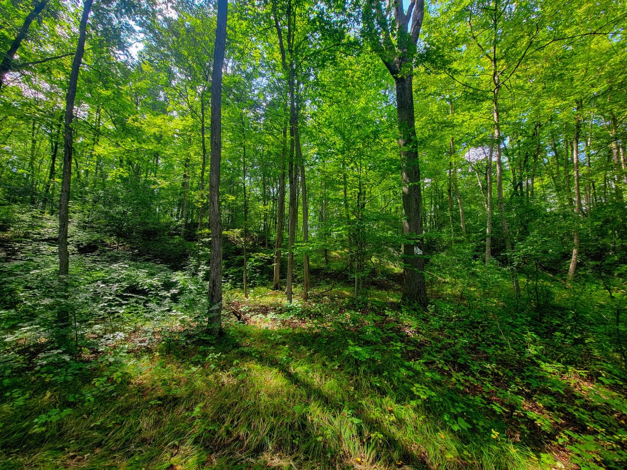 Listing Image 77