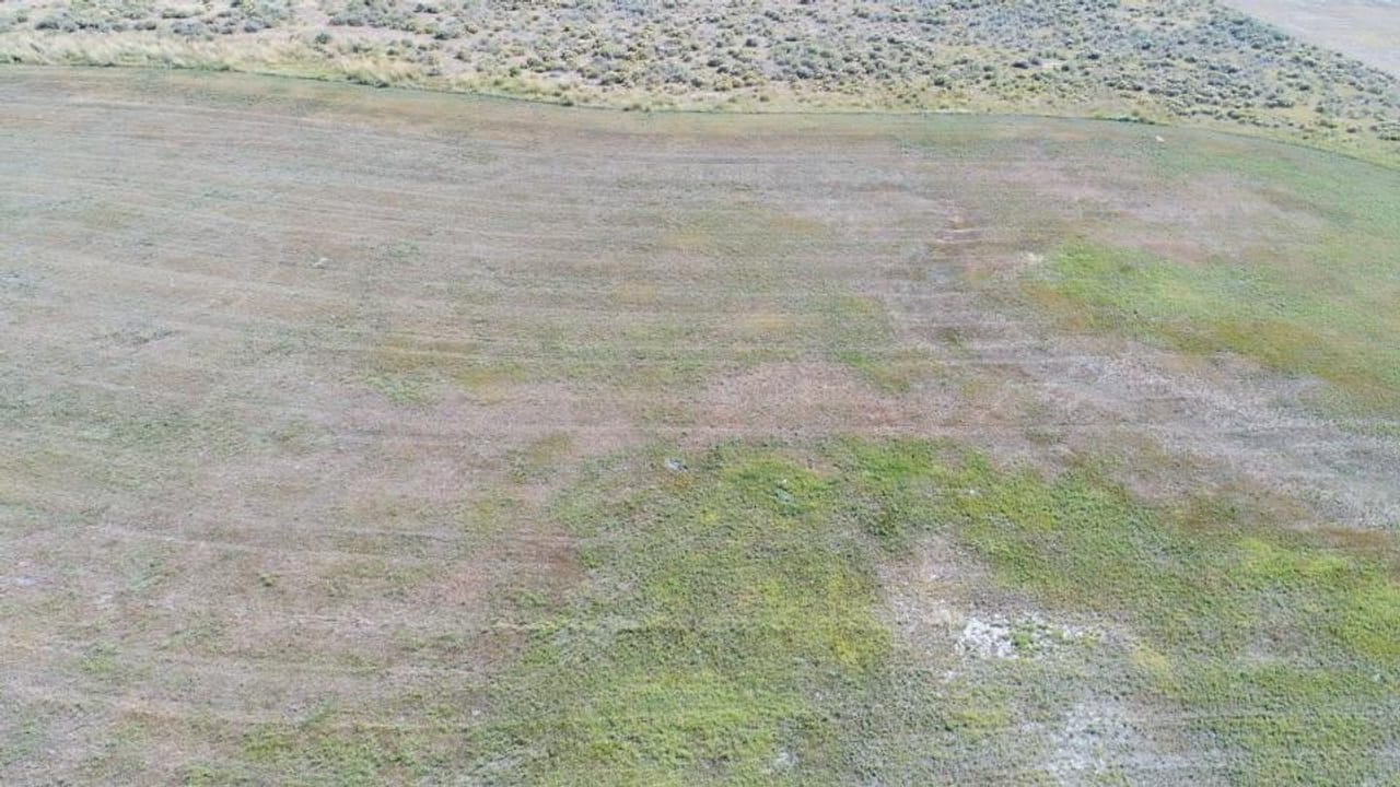 Listing Image 17