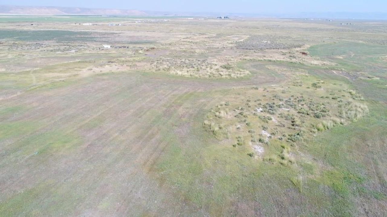 Listing Image 18