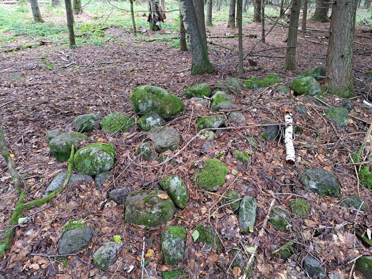 Listing Image 13