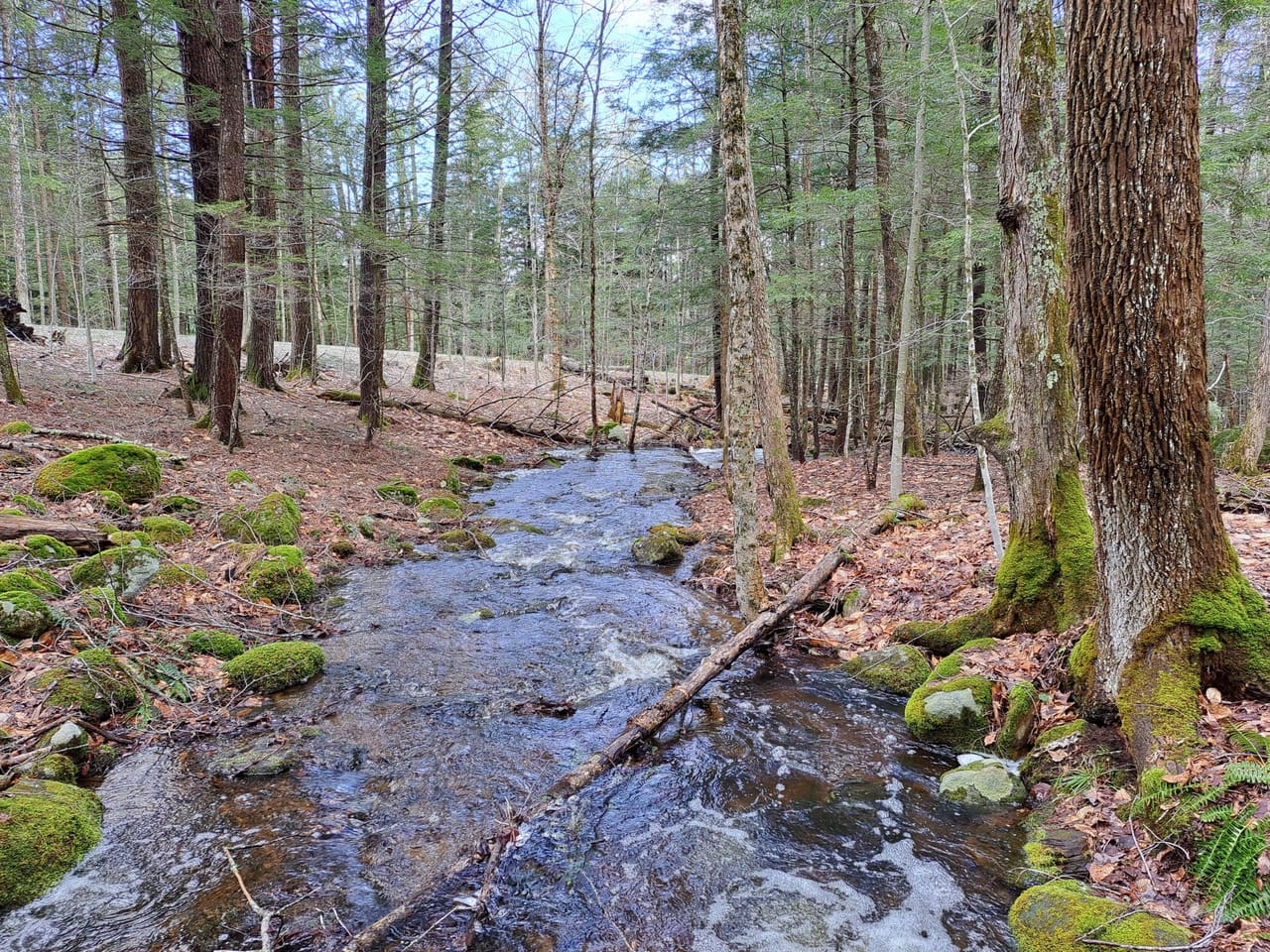 Listing Image 14