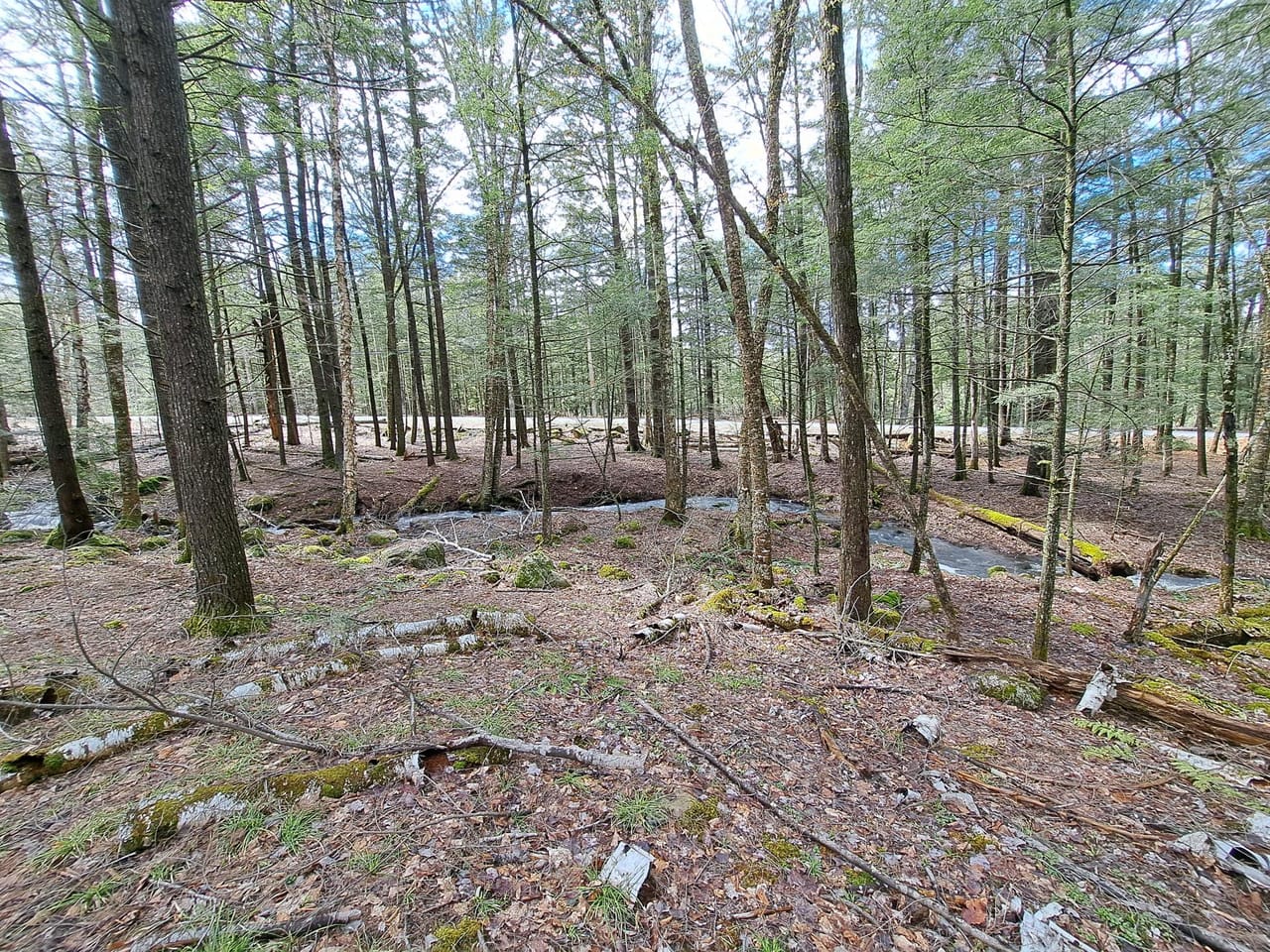 Listing Image 20