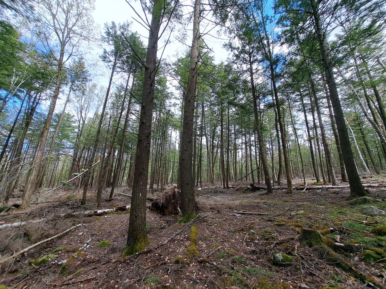 Listing Image 21