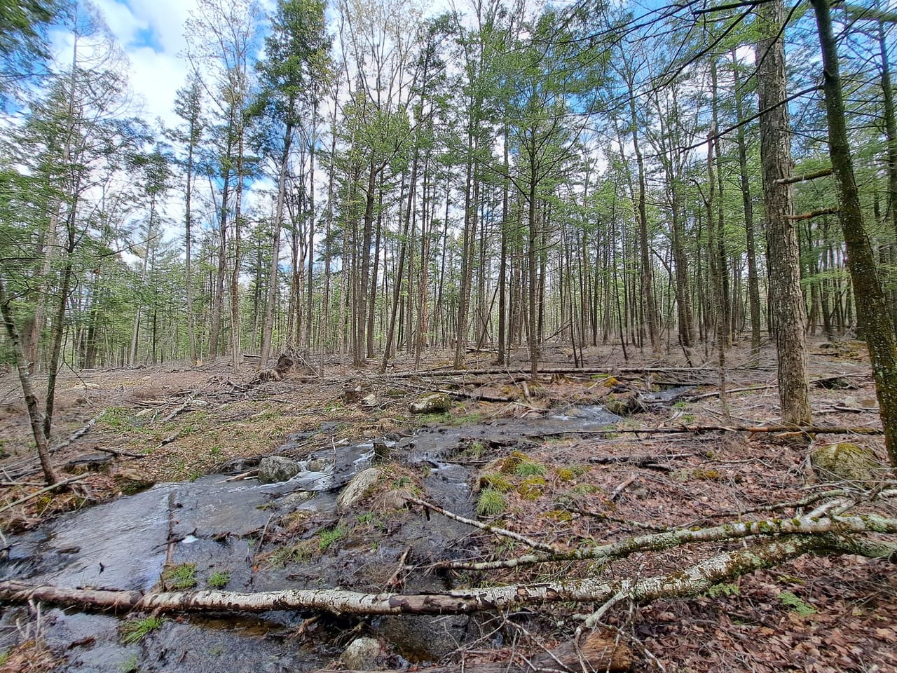 Listing Image 31
