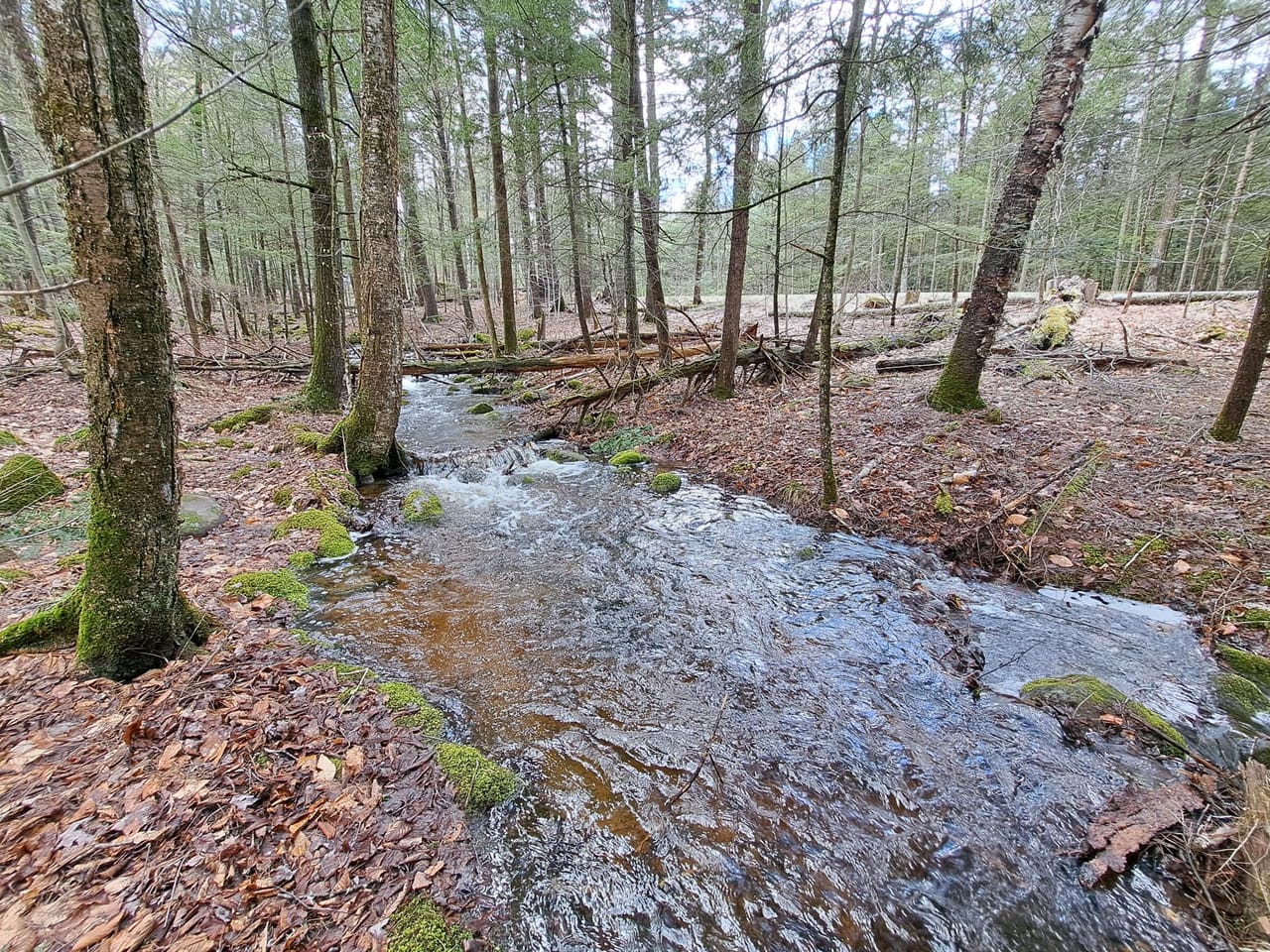 Listing Image 62