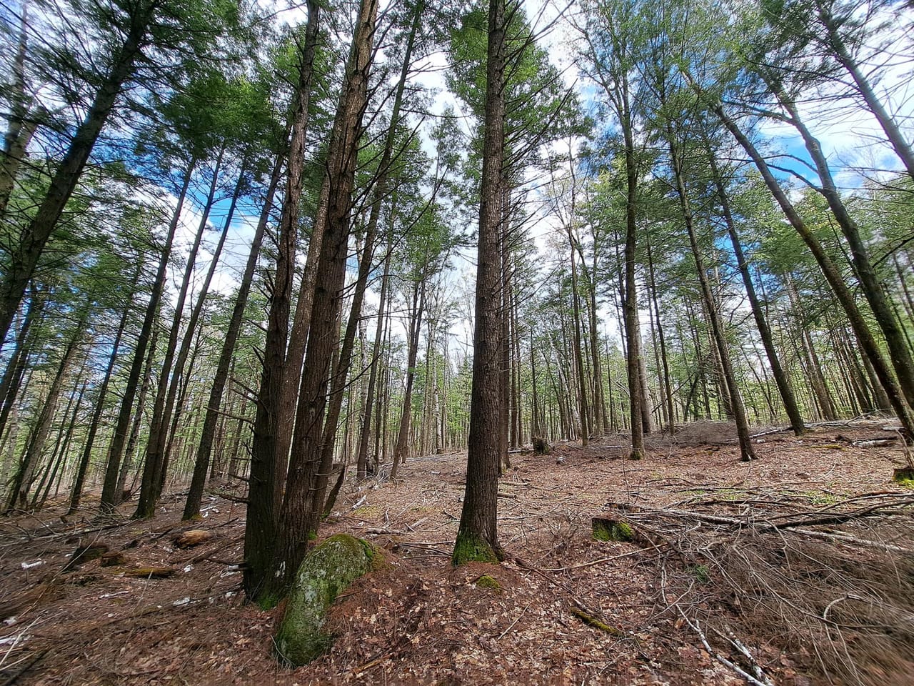 Listing Image 74
