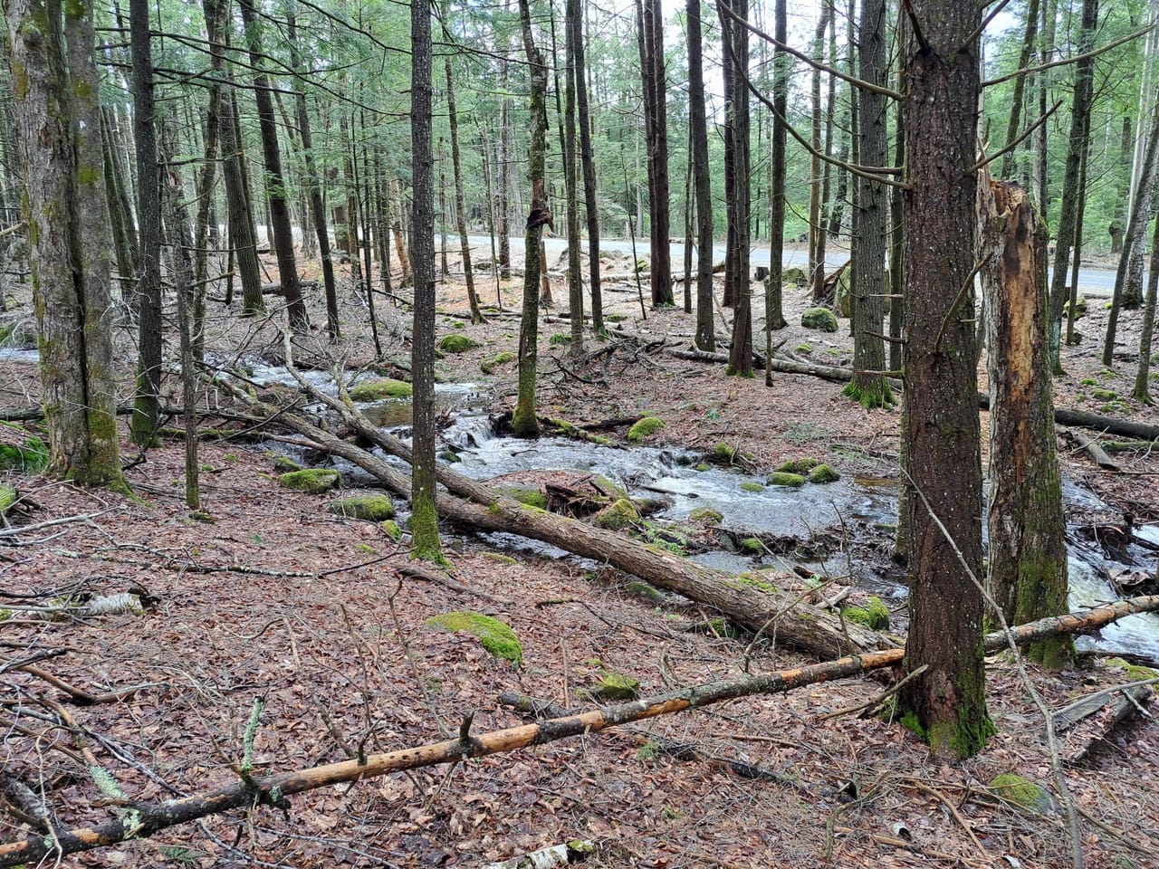 Listing Image 79