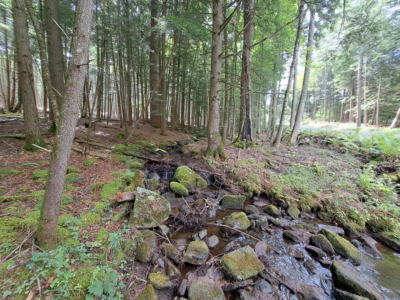 Listing Image 36