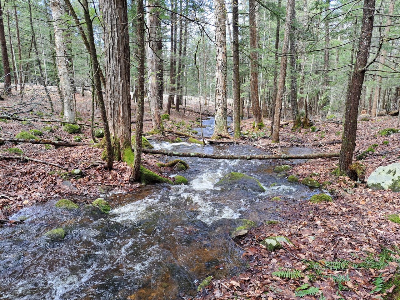 Listing Image 41
