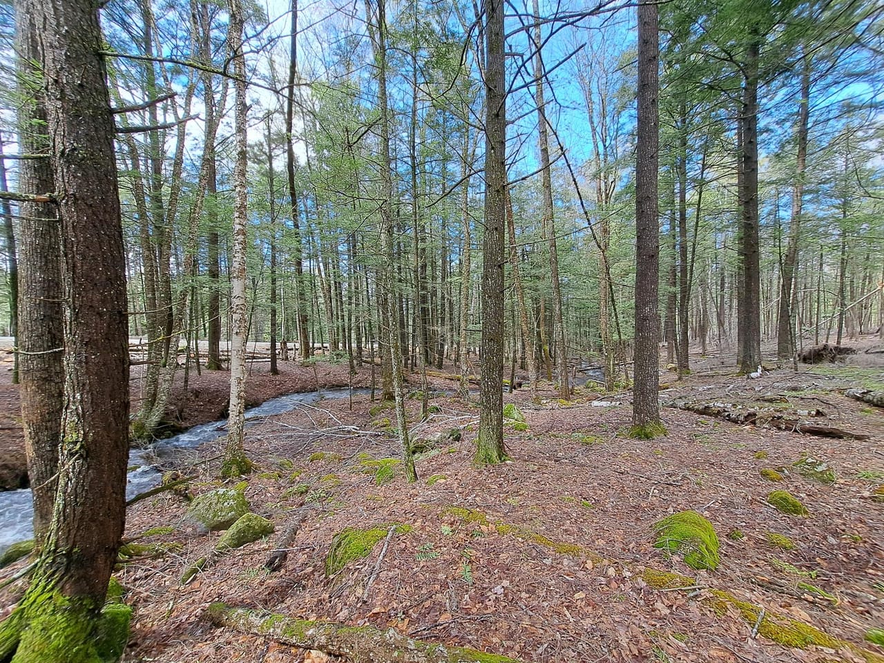 Listing Image 42