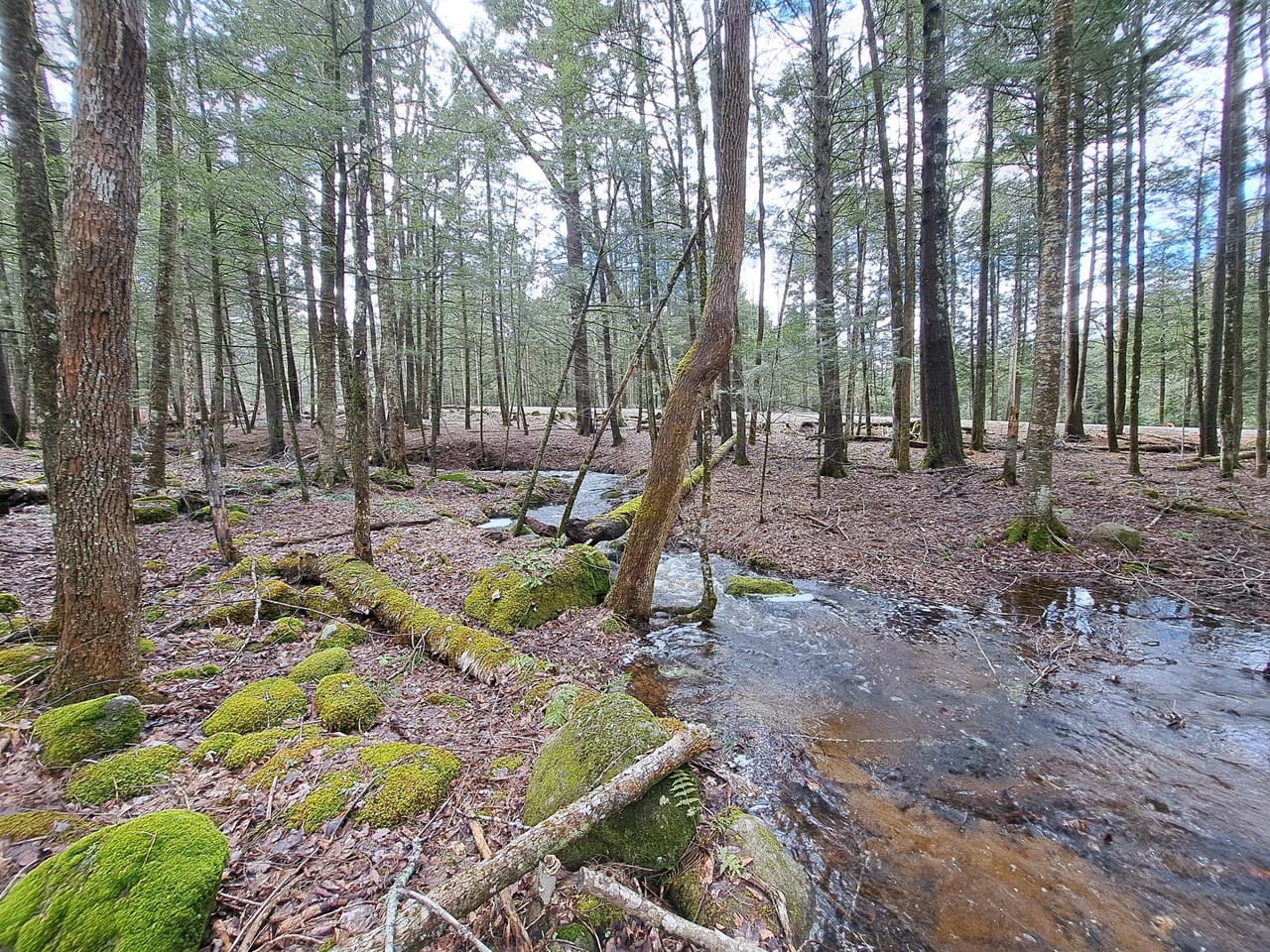 Listing Image 43