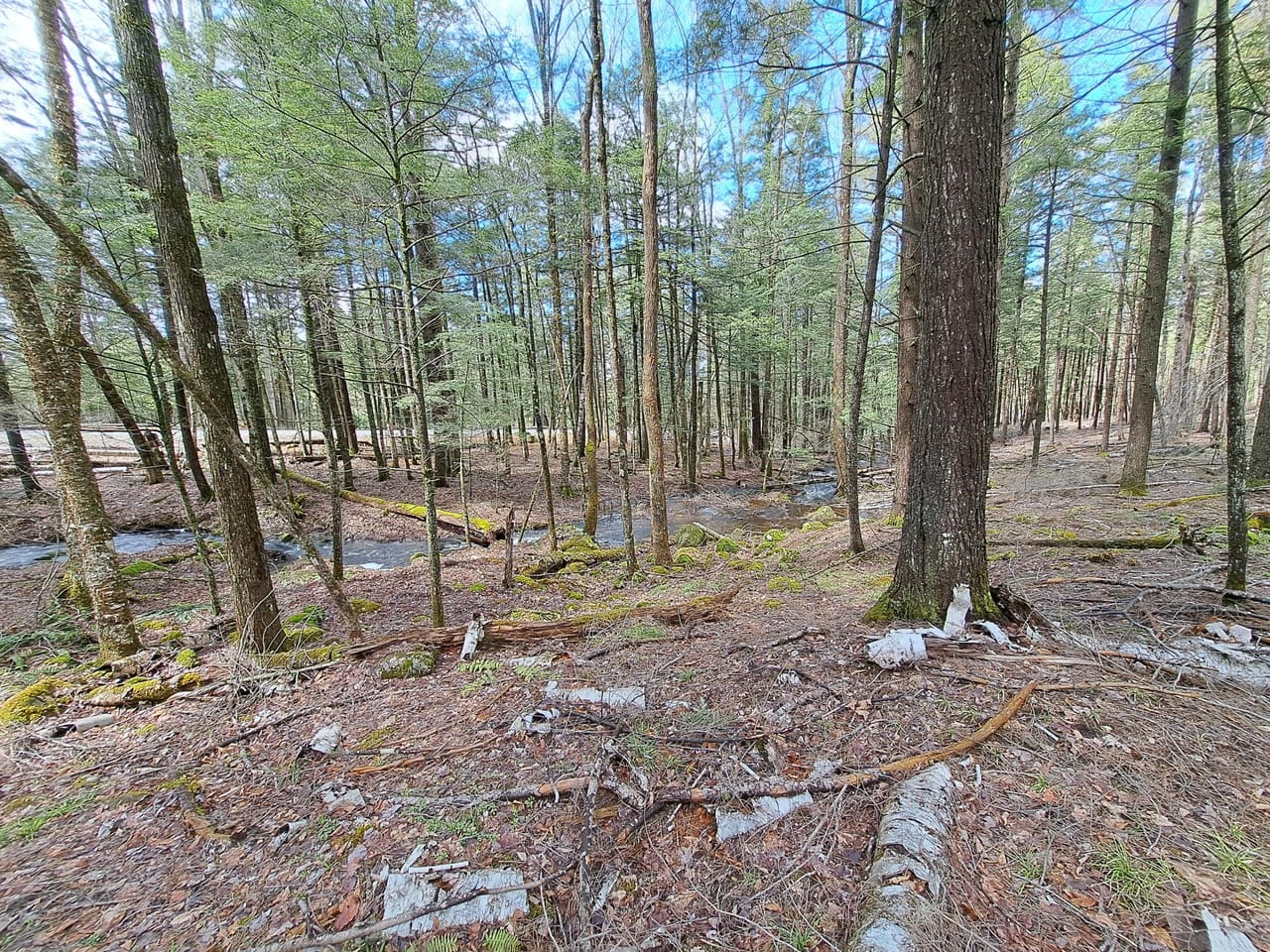 Listing Image 44